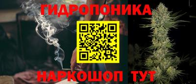 трава Гатчина