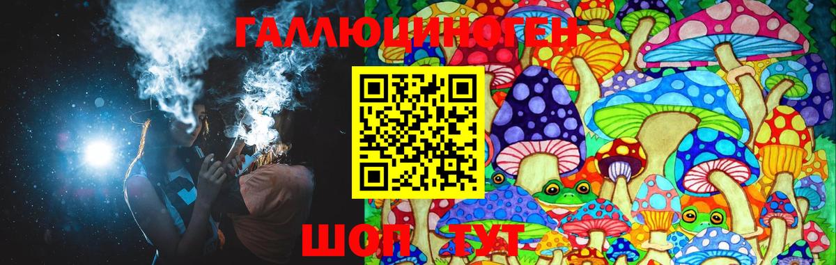 Псилоцибиновые грибы Psilocybine cubensis Нерюнгри