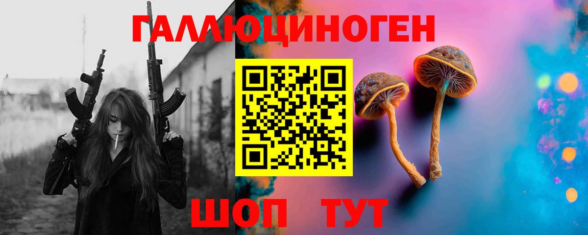 Галлюциногенные грибы Psilocybine cubensis  Вход с VPN  закладки  Нерюнгри 